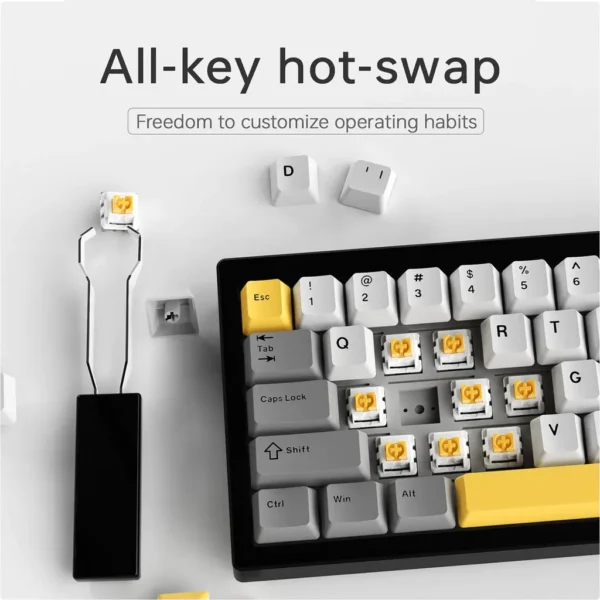 Ajazz AK650 Wired Mechanical Keyboard Gaming [66 Keys / RGB / Hot-Swappable / Type-C]