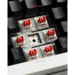 Ajazz AK820 Monochrome V2 75% Mechanical Keyboard